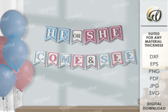 Gender Party Banners Bundle Laser cut. Wall decor SVG Product Image 8