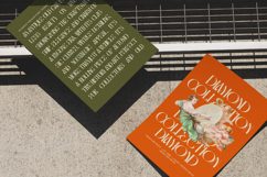 Genevieve Victoria - High Contrast Display Serif Product Image 6