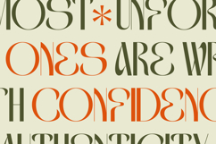 Genevieve Victoria - High Contrast Display Serif Product Image 7