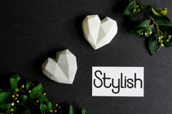 Genius Student Product Image 3