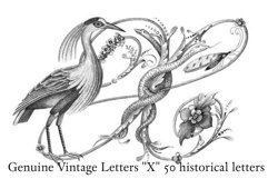 Genuine Vintage Letters "X" Product Image 6