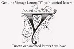 Genuine Vintage Letters &quot;Y&quot; Product Image 2