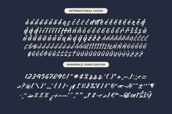 Geralty Retturn Bold Handwritten Font Type Product Image 19