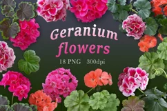 Flowers and leaves of geranium on a transparent background. Product Image 1