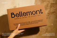 Gerino - Modern Editorial Duo Product Image 3