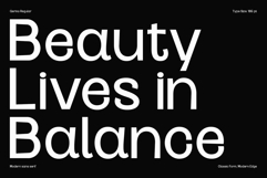 Gerino - Modern Editorial Duo Product Image 10