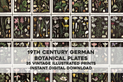 Vintage German Black Botanical Plates Bundle Product Image 1