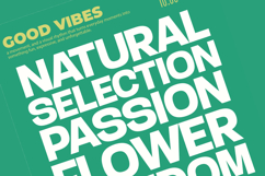 Gesty Ratio - Sans Display Typeface Product Image 3