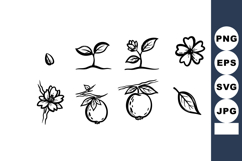 Plant growth stages vector showing seed sprout leaf flower f Product Image 1