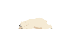 A playful polar bear stretching lazily on a snowy surface in Product Image 1