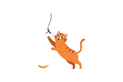 Playful orange cat jumping to catch a colorful feather toy i Product Image 1
