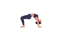 Woman performing yoga bridge pose in flat vector art Product Image 1