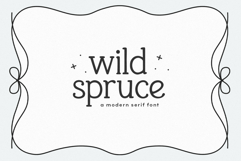 Wild Spruce - Handwritten Serif Font Product Image 1
