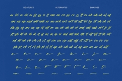 Ghaya Dalton - Bold Brush Font Product Image 18