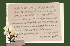 Ghostoy Charless Aesthetic Handwritten Product Image 14
