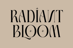 Giftagi - Elegant Modern Serif Font Product Image 4
