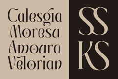 Giftagi - Elegant Modern Serif Font Product Image 6
