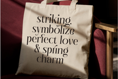 Giftagi - Elegant Modern Serif Font Product Image 9