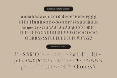 Giftagi - Elegant Modern Serif Font Product Image 19