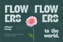 Giftson - Display Serif Font Product Image 7