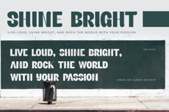 Giftson - Display Serif Font Product Image 8