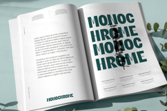 Giftson - Display Serif Font Product Image 12