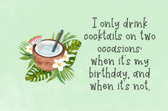 Gin and Tonic Font Duo - Sans and Serif Product Image 7