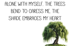 Ginger And Milk Product Image 3