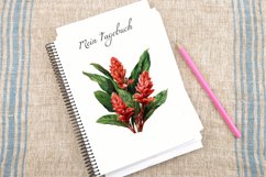 Watercolor Ginger Flower Plant Clipart Bundle Product Image 4