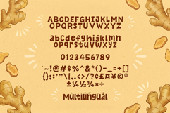 Ginger Times - Cozy &amp; Display Font Product Image 6