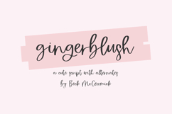 Gingerblush Script Product Image 1
