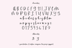 Gingerblush Script Product Image 10