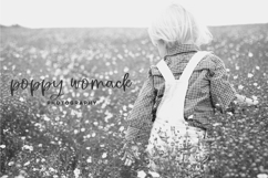 Gingerblush Script Product Image 4