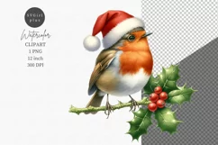 Robin clipart, Christmas clipart, Watercolor clipart Product Image 1