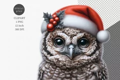 Owl clipart, Christmas clipart, Winter clipart Product Image 1