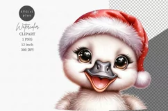 Baby swan clipart, Christmas clipart, Watercolor clipart Product Image 1