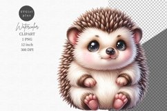 Hedgehog clipart, Watercolor clipart, Woodland clipart Product Image 1