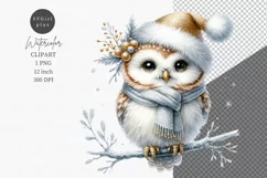 Owl clipart, Christmas clipart, Gold and silver clipart Product Image 1