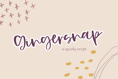 Gingersnap Script Product Image 1