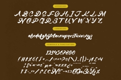 Gintery Dhump - Bold Calligraphy Font Product Image 18