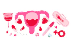 Menstrual Cycle & Women Health Digital Clipart , Feminine Product Image 2