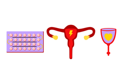 Menstrual Cycle &amp; Women's Health Wellnes Period Product Image 3
