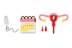 Menstrual Cycle &amp; Women's Health Wellnes Period Product Image 4