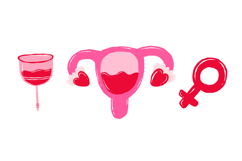 Menstrual Cycle &amp; Women Health Digital Clipart Set, Feminine Product Image 5