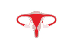 Women's Health & Menstrual Cycle Clip Product Image 3