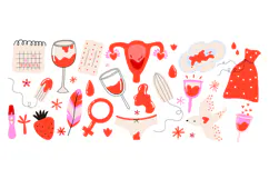 Menstrual Cycle & Women's Health Clipart Period Product Image 4