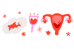 Menstrual Cycle &amp; Women's Health Clipart Set 28 Period Product Image 5