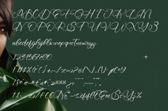 Giustina Kelani - Stylish Calligraphy Font Product Image 18