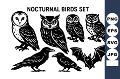 Nocturnal birds including owls, ravens, and bat vector silh Product Image 1