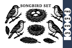 Songbird with birds nest eggs feathers and small perching b Product Image 1